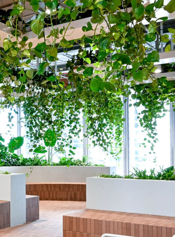 europanel_CSR_570x770